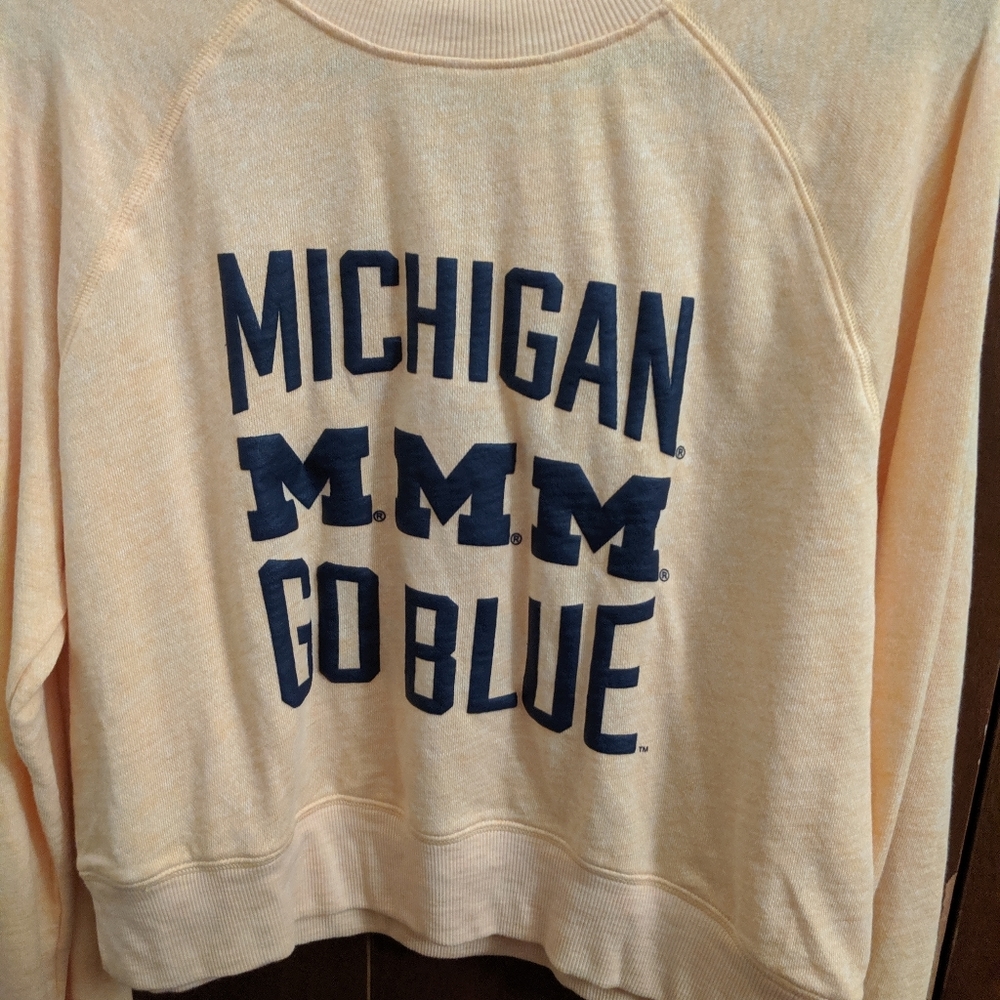 University of Michigan Crop Sweater
